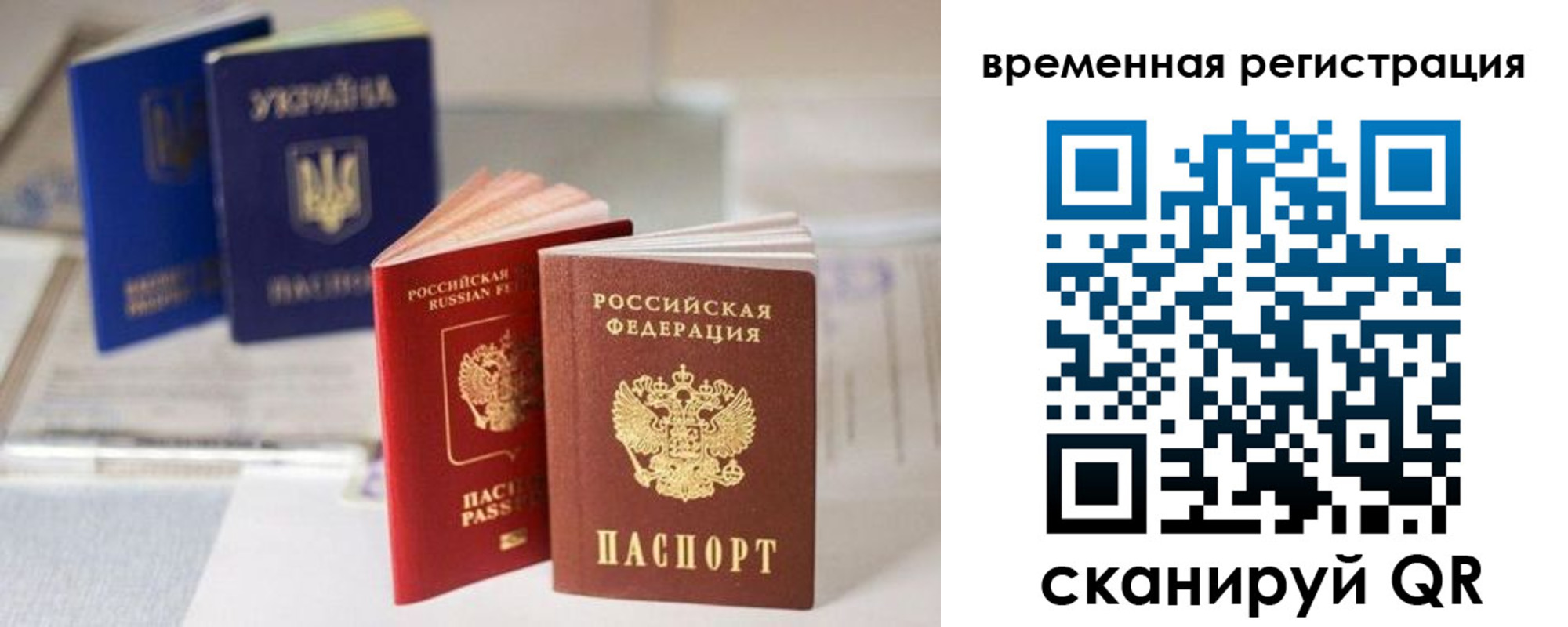 прописка поиск в Петухово
